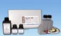 Coffret ultrasensible de mesure du Fer :  0,010,20 mg/L Fe